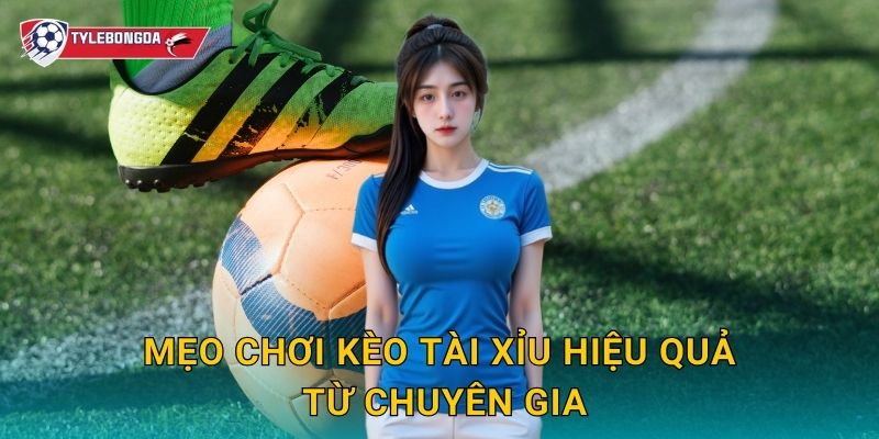 Mẹo chơi kèo tài xỉu hiệu quả từ chuyên gia