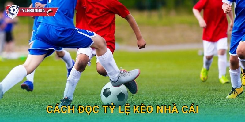 Cách đọc tỷ lệ kèo nhà cái Tylebongda – Hướng dẫn chi tiết cho người mới 1 Cách đọc tỷ lệ kèo nhà cái Tylebongda – Hướng dẫn chi tiết cho người mới