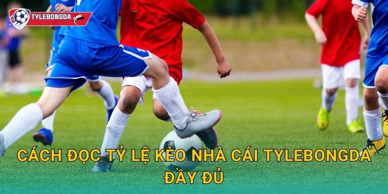 Cách đọc tỷ lệ kèo nhà cái Tylebongda – Hướng dẫn chi tiết cho người mới 2 Cách đọc tỷ lệ kèo nhà cái Tylebongda đầy đủ