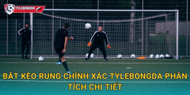 Bắt kèo rung chính xác Tylebongda phân tích chi tiết