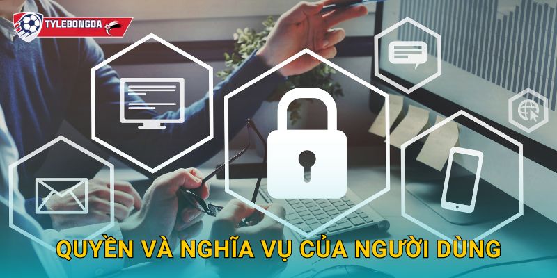 Quyền và nghĩa vụ của người dùng