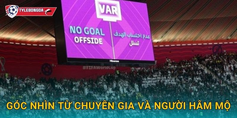 Góc nhìn từ chuyên gia và người hâm mộ